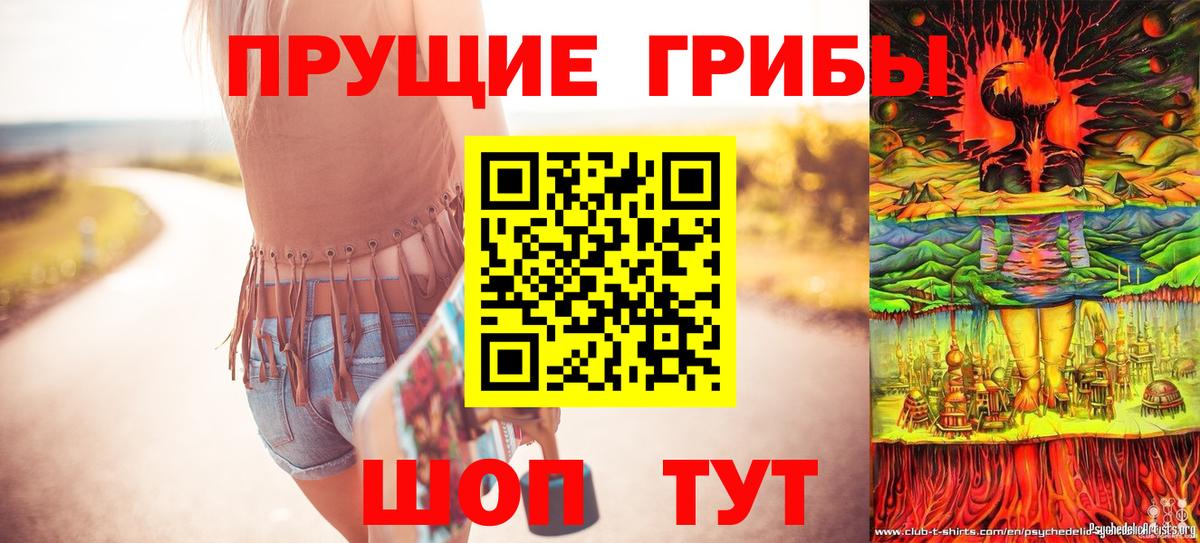 Псилоцибиновые грибы Cubensis Арзамас