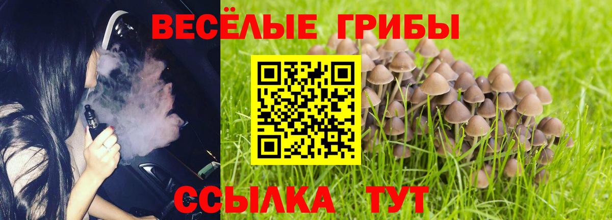 Псилоцибиновые грибы мухоморы  Псилоцибиновые грибы ЛСД  Вход с VPN  Арзамас 